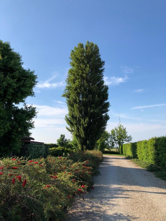 Via D' Este 8 Gualtieri Екстериор снимка